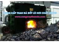 Nhà cung cấp than đá đốt lò hơi chất lượng và giá thành hợp lý