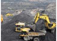 Chuyên cung cấp than indo các loại chất lượng với giá ưu đãi