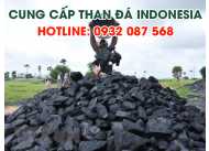 Vì sao ngành công nghiệp Việt Nam ưa chuộng than Indo?