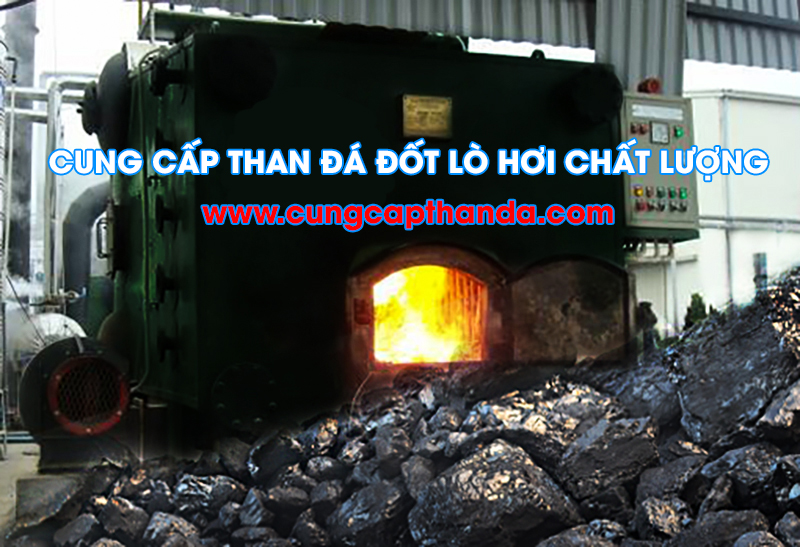 cung-cap-than-dot-lo-hoi