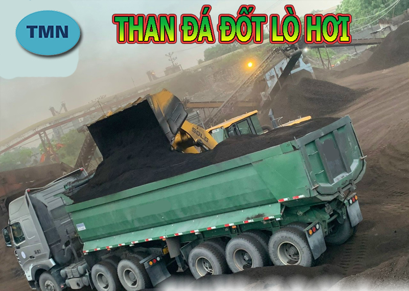 than-da-dot-lo-hoi